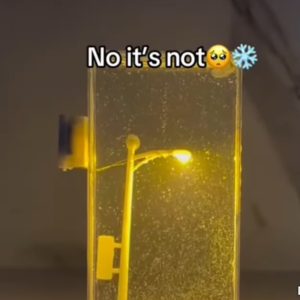 স্মল স্নো গ্লোব ল্যাম্প।